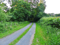 
Tophill Colliery tramway to GWR sidings, July 2013